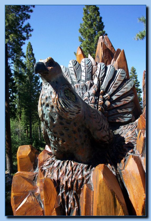 2-45  grouse-archive-0001